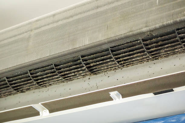 Best Affordable HVAC Duct Cleaning  in Prospect Heights, IL